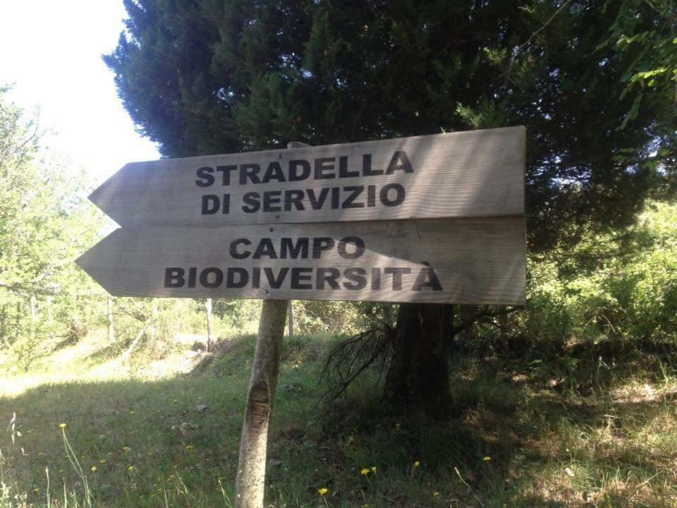 Valle Maira, Agriturismo Nel Parco Dei Nebrodi Villa Tortorici Exterior foto